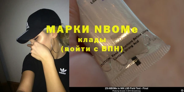 индика Алексин