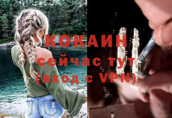индика Алексин