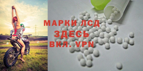 индика Алексин