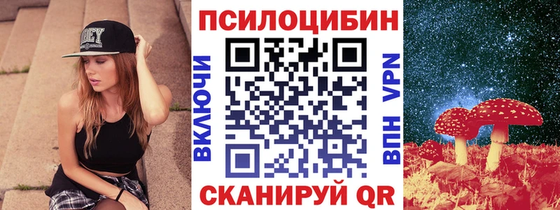 сайты даркнета как зайти  Цимлянск  Псилоцибиновые грибы Psilocybe 