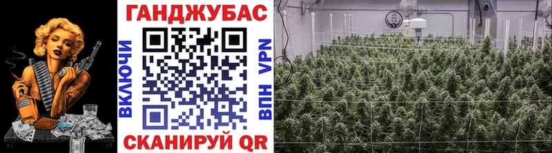 Каннабис сатива  OMG как войти  Цимлянск 